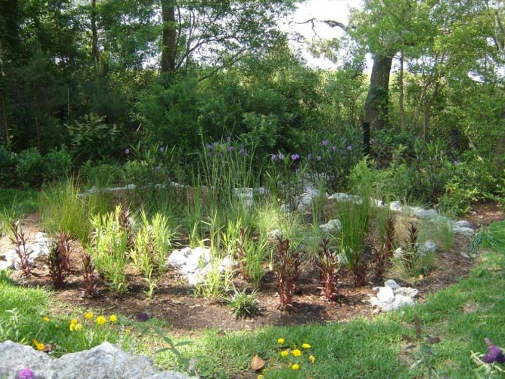 CCAP Essentials: Administering the Community Conservation Assistance Program